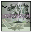 world funk organization